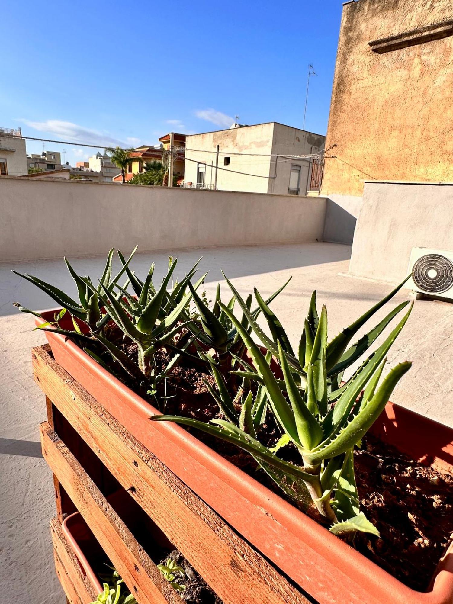 Hotel Seacily House Mazara del Vallo Exterior foto